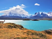 Le Chili, terre de contrastes aux paysages variés