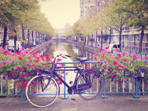 10 activités gratuites à faire à Amsterdam