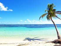 Guadeloupe : 8J/7N à 636 €/pers, dans un studio vue mer avec piscine 
