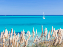 Vacances d'été en Sardaigne : 8j/7n, vols + hôtels dès 223 €/pers.