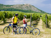 Vacances d'été : les plus beaux itinéraires pour découvrir la France à vélo