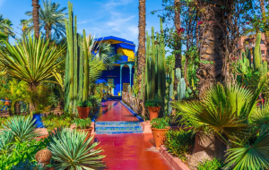 Marrakech :  week-end 2j/1n ou plus en riad très bien situé + petit-déjeuner
