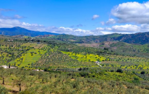 Andalousie, printemps : week-end 3j/2n en hôtel de charme + petits-déjeuners & dîner + visite