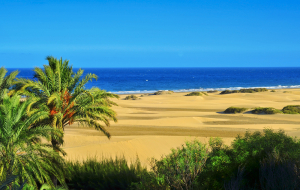 Canaries : vacances d'été, séjour 8j/7n en hôtel 4* tout compris + vols