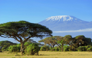 Kenya : vente flash, 9j/7n en hôtel 5* en pension complète + safari + vols & transferts