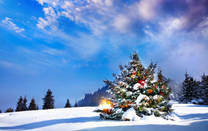 Noël & Nouvel An au ski : ventes flash, locations 8j/7n dans les Alpes & Pyrénées, jusqu'à - 46%
