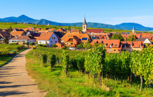 Route des Vins d'Alsace : week-end 2j/1n ou plus en gite, maison, chalet, cottage...