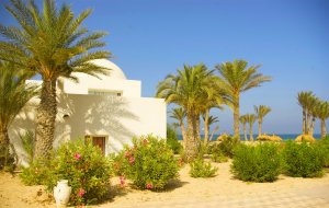Tunisie, Djerba : vente flash, séjour 8j/7n en hôtel 4* tout inclus + vols Air France