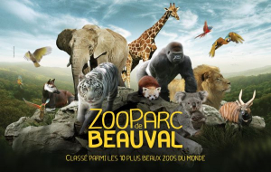 Zoo de Beauval : billetterie adulte et enfant 1 jour, dispos dernière minute