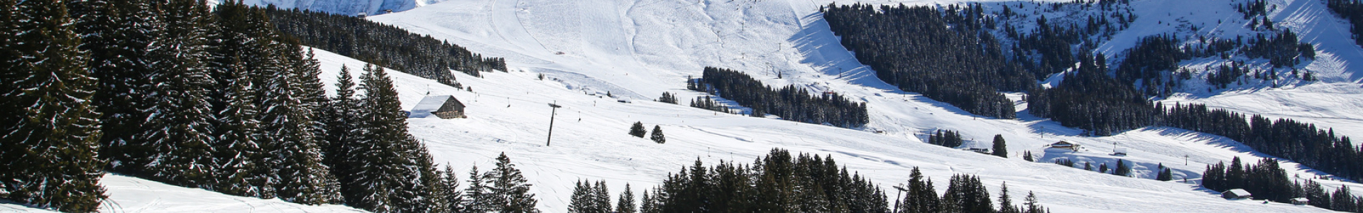Snowtrex : locations 8j/7n en résidences dans les Alpes, forfait inclus