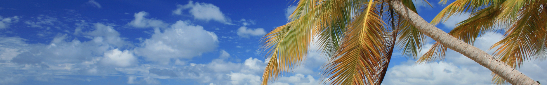 Nouvelles Îles : séjours en locations dans les Caraïbes, voiture incluse, à prix minis