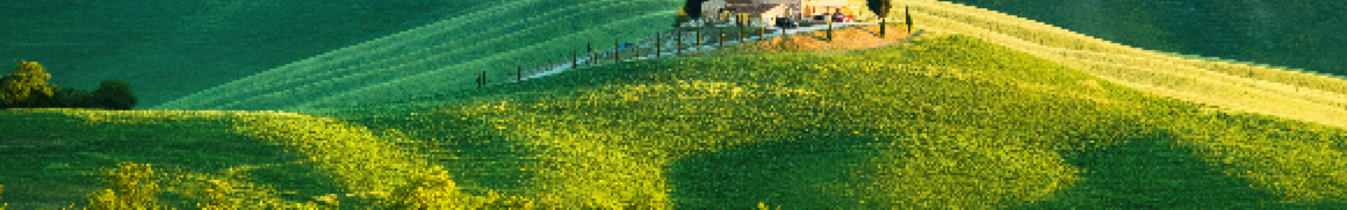 Toscane Toscane