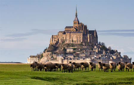 Week-ends découverte : Mt-St-Michel, Châteaux de la Loire, Versailles, croisières, musées... 