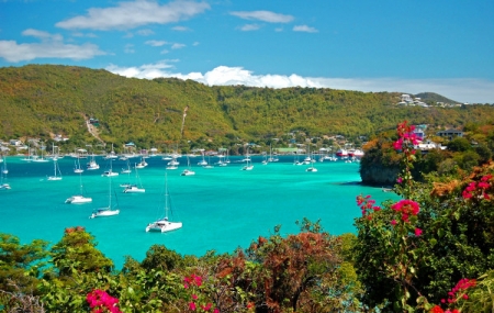 Îles Grenadines : dernière minute, 9j/7n en catamaran, pension complète