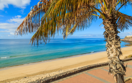 Canaries, Fuerteventura : séjour 8j/7n en hôtel-club bord de mer + demi-pension + vols