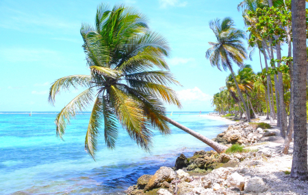 Guadeloupe : séjour 9j/7n en résidence bord de mer, vols inclus