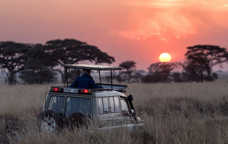 Kenya, 1ère minute : circuit 8j/5n en hôtels + pension + safari & vols inclus