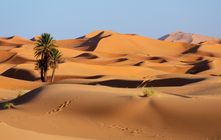Maroc & désert : vente flash, circuit 7j/5n en riad + pension + vol en montgolfière + vols
