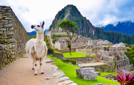 Pérou : circuits 11j/9n ou plus en hôtels + pension + activités & excursions + vols