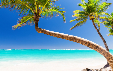 Rép. Dominicaine, Punta Cana  : séjours 8j/7n en hôtels 4*/5* + pension + vols