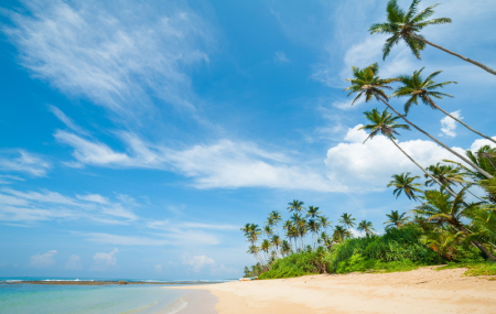 Sri Lanka : séjour 7j/5n en hôtel 5* face à la mer + petits-déjeuners + spa + vols Emirates