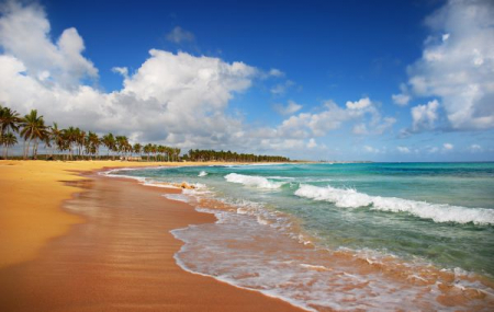 République Dominicaine : séjour 9j/7n en club 4* bord de plage + tout inclus + vols