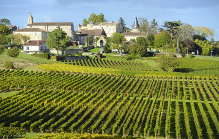 Bordeaux : oenotourisme, visite & dégustation autour des vignobles