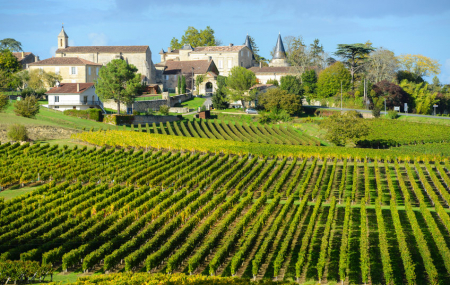 Bordeaux, Route des vins : combinés 3j/2n ou 4j/3n, hôtels + petits-déjeuners + visites