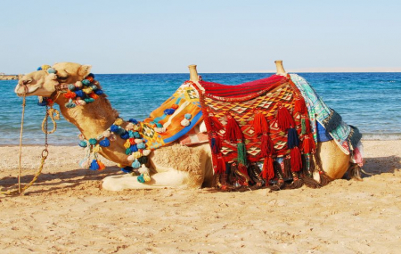 Djerba : séjours 8j/7n en hôtels ou clubs + pension selon offres, départs juillet