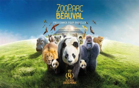 Zoo Beauval : week-end 2j/1n en appart'hôtel + entrée parc, dispos printemps, - 24%