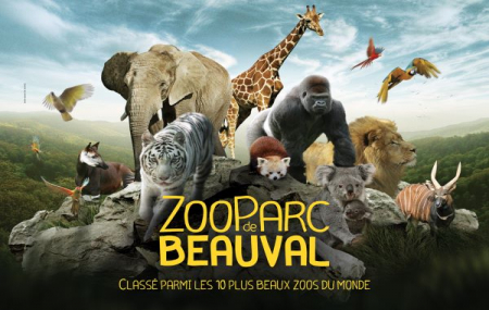 Zoo de Beauval : billetterie adulte et enfant 1 jour, dispos dernière minute & été indien