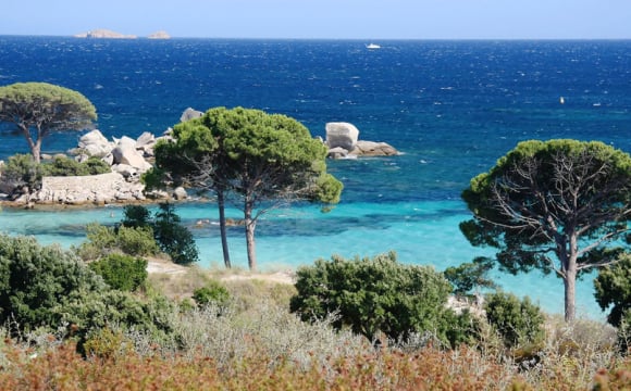 Quelques idées d’activités insolites à faire en Corse